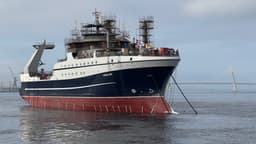 В России начнут выпускать рыбоперерабатывающие фабрики «под ключ»