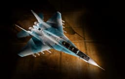 Птицы счастья завтрашнего дня: Индии предстоит определиться с поставщиком среднего многоцелевого боевого самолёта для своих ВВС