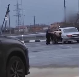 Скотовозка представительского класса: фермер на Кавказе умудрился посадить в «Волгу» двух коров и бычка