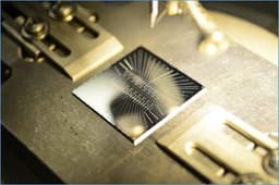 MIPT Scientists Develop 40-Qubit Quantum Processor
