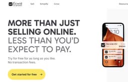 Испугались санкций: основанный россиянином конструктор интернет-магазинов Ecwid уходит из РФ