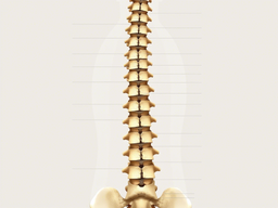Передовой подход: в России удешевили производство костных имплантов 
