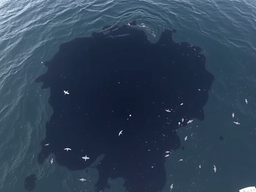 Низкие затраты и стабильные поставки: создан отечественный растворитель для очистки нефти