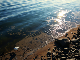 Without Harming the Environment: A New Method Developed to Clean the Black Sea Coastline from Oil Products