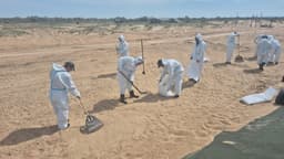 Очистку дна с помощью аэрации испытали в Чёрном море учёные МГУ