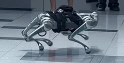 Бионического робопса для опасных миссий показали на ПМЮФ