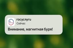 Депутаты предложили высылать россиянам уведомления о магнитных бурях через «Госуслуги»