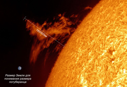 Giant Solar Prominence Captured in Novosibirsk