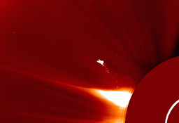 Загадочный объект размером больше Земли, похожий на птицу или космолёт, заметили над Солнцем