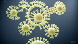 Влияющие на работу сердца молекулы открыли учёные из «Курчатовского института» и НМИЦ терапии