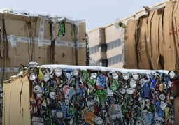 ИИ наблюдает за экологией: Росприроднадзор внедрил нейросети для борьбы с уклонением от экосбора