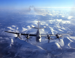 Aviation expert: Russia does not need to restore the production of Tu-95MS and Tu-22M3 bombers