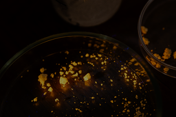 Гибридный люминофор для светодиодов широкого спектра излучения создан учёными МГУ и Физического института им. Лебедева