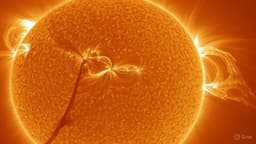 Магнитные бури на подходе?: На Солнце произошла сильная вспышка класса M2.5 — первая в июле