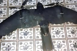 Российские военные впервые замаскировали дроны-разведчики под птиц: уникальные кадры