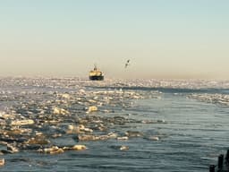 Начался северный завоз: ледокол «Вайгач» завершил проводку танкеров в Арктике