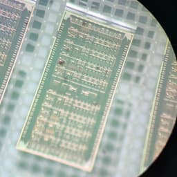 For precise processing of X-ray quantum signals: 16-channel microchip patented at INTEL NRNU MEPhI