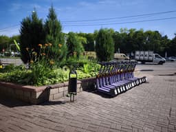 Самокатчиков — под учёт: в гордуме Екатеринбурга прездложили ввести карту водителя СИМ