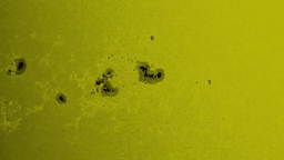 Ад не на Земле: учёные ИКИ РАН рассказали о сотне новых пятен на Солнце