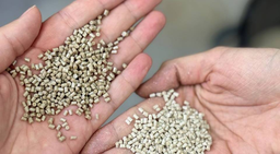 Первое в России производство полимера ПЭЭК запущено в Томске