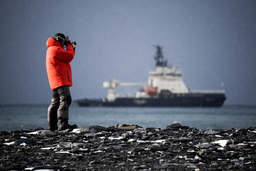 Что посмотреть на выходных: «Первый технический» рекомендует российскую документальную ленту — «В Арктику»