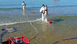  Работы по сбору мазута с морского дна у берегов Анапы завершились