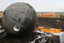 Пали жертвами науки: десять мышей, которые отправились в космос на спутнике «Бион-М», погибли