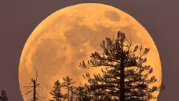 Первое осеннее суперлуние осветит небо над Россией в ночь на 8 октября
