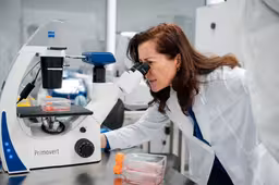 В «Сириусе» откроют вторую очередь лабораторного комплекса для исследований в биотехнологии и медхимии