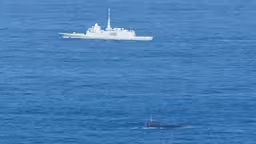 Носителя «Калибров» подлодку Б-261 «Новороссийск» эскортировали ВМС Франции