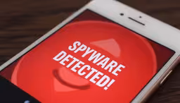 Рассылает вирусы всем контактам: россиян предупредили о программе-шпионе ClayRat