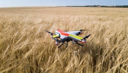 Drones irrumpen en los campos: el mercado de drones para la agricultura crecerá un 25%