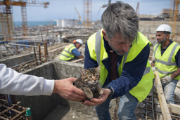 Kitten stuck at the "Akkuyu" NPP construction site in Turkey: it was rescued from a depth of seven meters