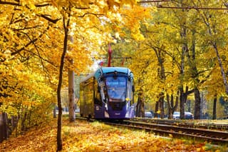 The Ministry of Transport is confident that fully unmanned trams will appear in the Russian Federation in the next two years