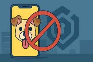 Roskomnadzor bloqueó en Rusia el mensajero con "máscaras" Snapchat