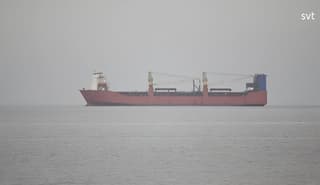 Sweden Detains Russian Container Ship Adler