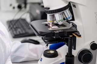 Ayudará a restaurar la médula espinal humana: un nuevo bioandamio fue creado en la universidad "Sirius"