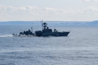MPK "Snezhnegorsk" hit an aerial target from the "Osa-MA" complex during exercises in the Barents Sea