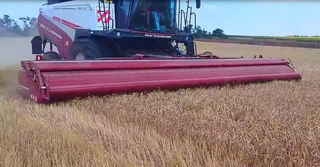 Replacement for Canadian and British Headers: Rostselmash's 9-meter Adapter Enters the Fields