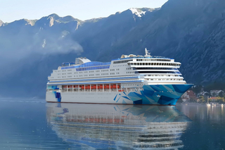 The largest in shipbuilding history: a cruise liner project for 2002 passengers developed by KB "Vympel"