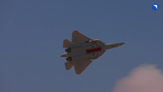 Су-57Э превратится в штучное оружие: в Индии объяснили, почему 36–40 истребителей мало