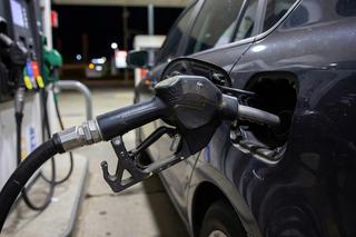 Ministry of Energy proposed to transfer the Trassa gas station network to external management - RBC