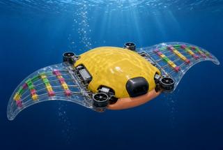 An underwater robot was offered fins like a stingray - it can move up and down and in waves
