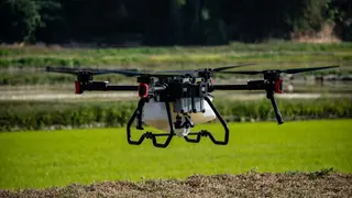 Se revela cuántos agricultores en Rusia están dispuestos a utilizar drones para el cultivo de la tierra