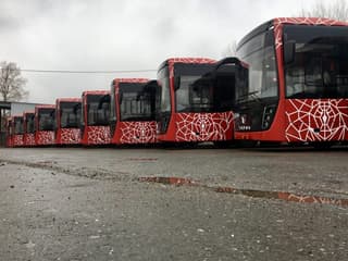 «Умные автобусы» из Перми контролируют водителей и принимают бесконтактную оплату