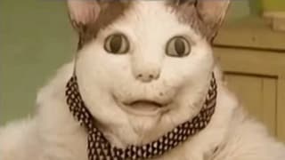 "¿Bu, te asusté? No te haré daño. Dime el código del SMS": El Banco Central mostró un video con un gato de IA del meme