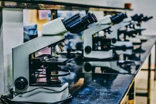 В ЮФУ разработали вещества-хамелеоны для медицины