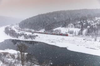 РЖД планирует перевезти в новогодние каникулы около 7 миллионов пассажиров