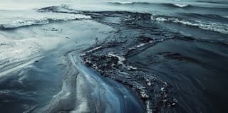 En la región de Kubán se declara el estado de alerta máxima debido al derrame de fueloil en el estrecho de Kerch