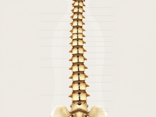 Enfoque innovador: Rusia reduce el costo de producción de implantes óseos